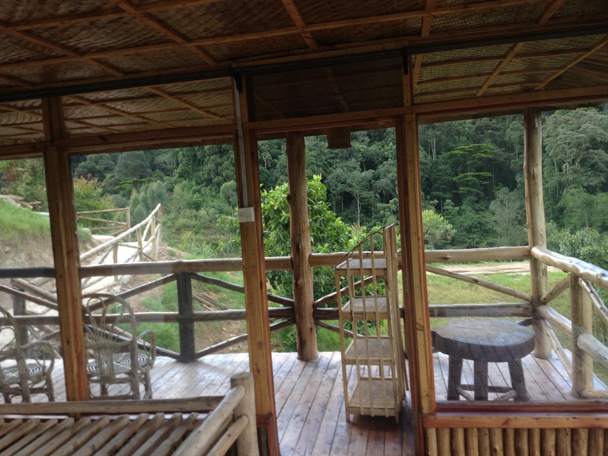 Rushaga Gorilla Lodge Bugambira Δωμάτιο φωτογραφία