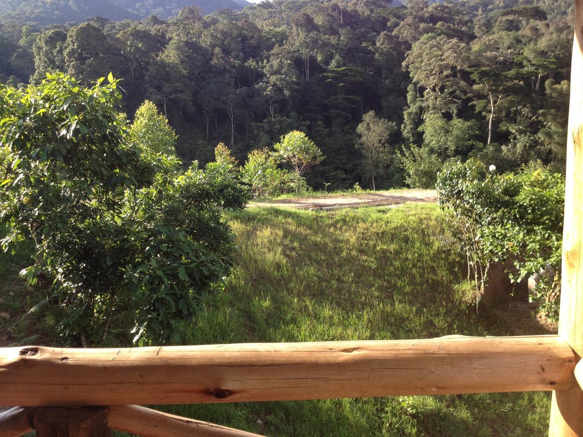 Rushaga Gorilla Lodge Bugambira Δωμάτιο φωτογραφία