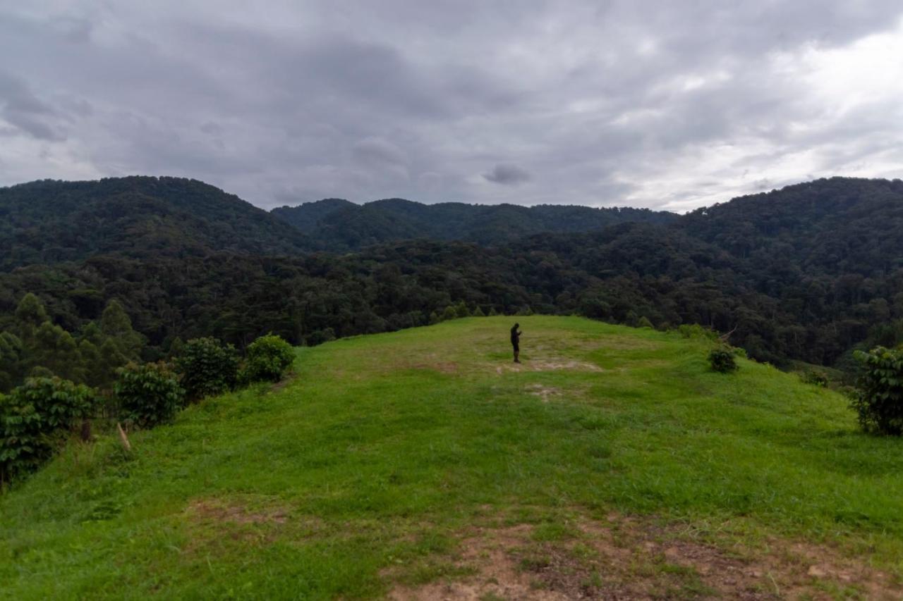 Rushaga Gorilla Lodge Bugambira Εξωτερικό φωτογραφία